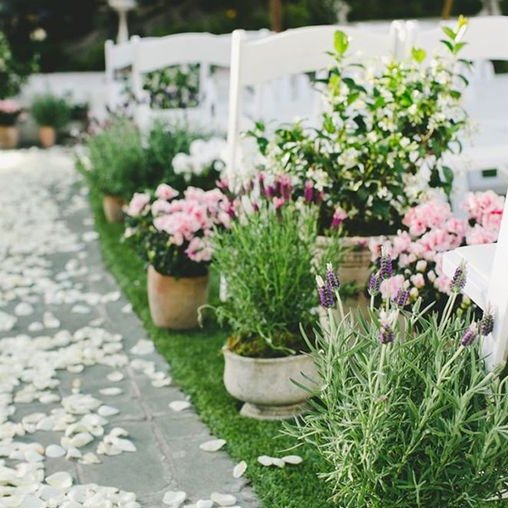 Blooming with Beauty: Floral Trends for 2024 Weddings