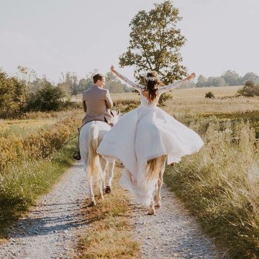 Ten Top Tips: How to include your pet in your wedding